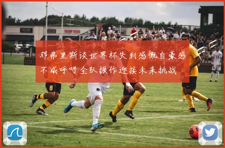邓弗里斯谈世界杯失利感慨自豪感不减呼吁全队振作迎接未来挑战